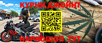 сатива Будённовск