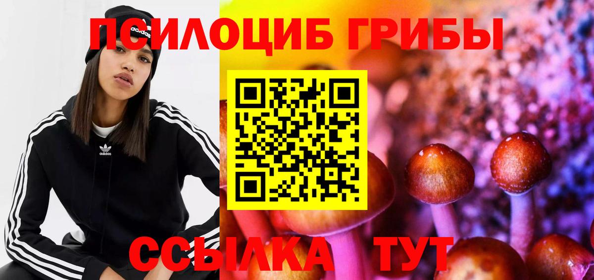 Галлюциногенные грибы Psilocybe  Вход с VPN  Севастополь 